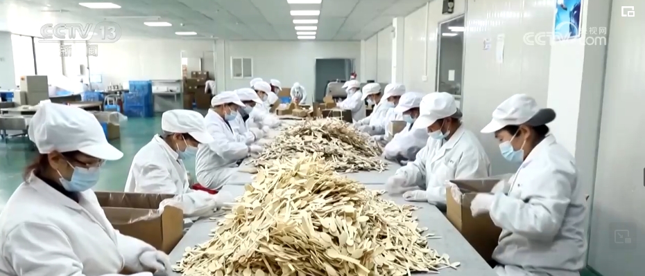 物价利率投融资……释放利好经济回升长期向好态势更稳定(图6)