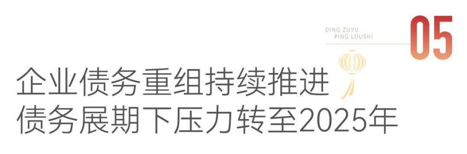 春节特辑丨融资篇：债务转移2025年压力更大(图12)