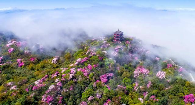 文旅项目最急的不是投资而是运营(图3)