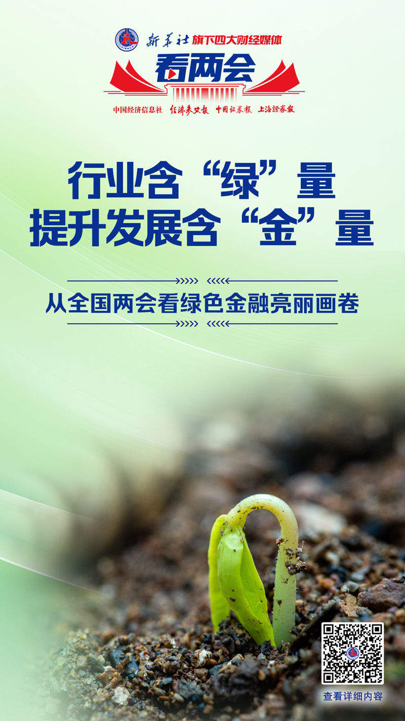 新华社旗下四大财经媒体看两会·聚焦金融“五篇大文章”(图2)