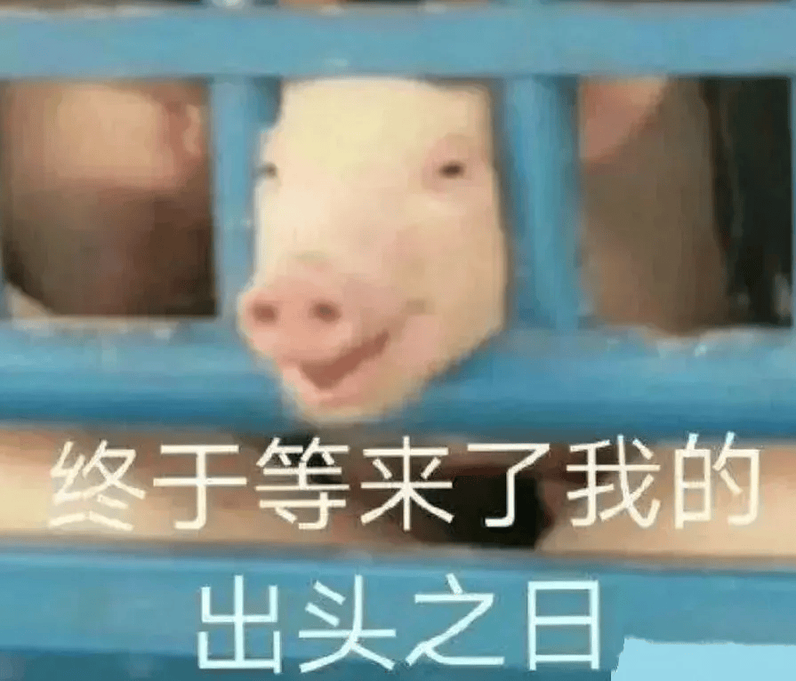 投资人的收入有多低(图1)