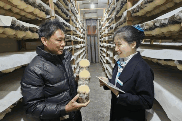 农行宁德分行：金融春雨润闽东 芒果体育下载绘就春耕新图景(图1)