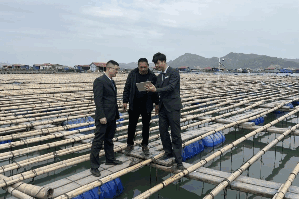 农行宁德分行：金融春雨润闽东 芒果体育下载绘就春耕新图景(图3)
